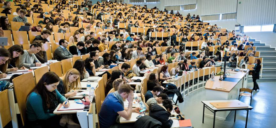 Moyens | Programme de Professeurs Attachés (PA)