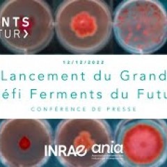 Grand Défi Ferments du Futur (GDFF)