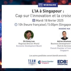 IA Singapour