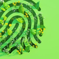 Quel est l'impact environnemental de l'intelligence artificielle ?