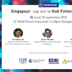 [WEBINAIRE] Singapour : cap sur le Hub Fintech d'Asie