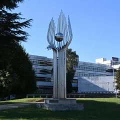 Au cœur du vivier de talents français en IA que s'arrachent les entreprises