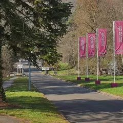 L’Université Paris-Saclay, 1re institution française en IA pour la 2e année consécutive