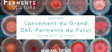 Grand Défi Ferments du Futur (GDFF)