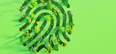 Quel est l'impact environnemental de l'intelligence artificielle ?